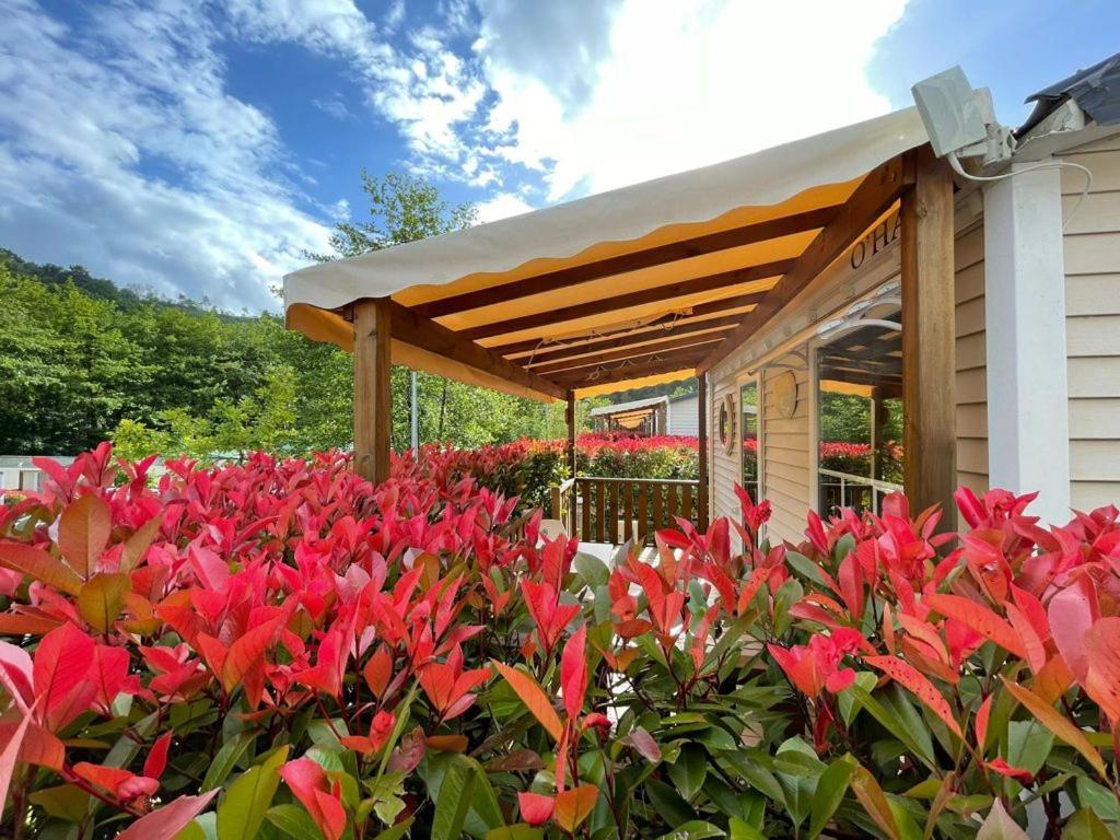 Camping Igara De San Sebastian Exterior photo